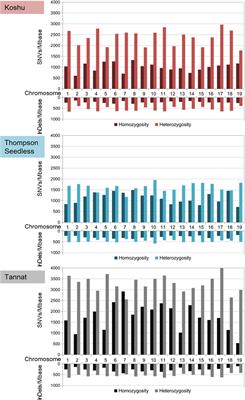 Genomic Characterization of the Japanese Indigenous Wine Grape Vitis sp. cv. Koshu